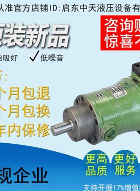 10SCY 25SCY 40SCY 63SCY 80SCY 100SCY 160SCY14-1B启东柱塞油泵