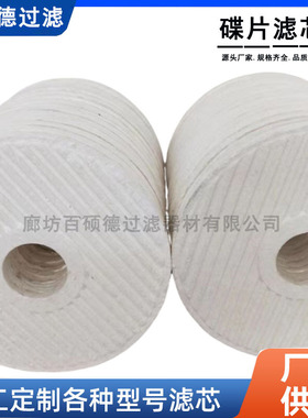 CJC精细滤芯PA5601302 BN27/27离线滤油机过滤器超滤精密工业滤芯