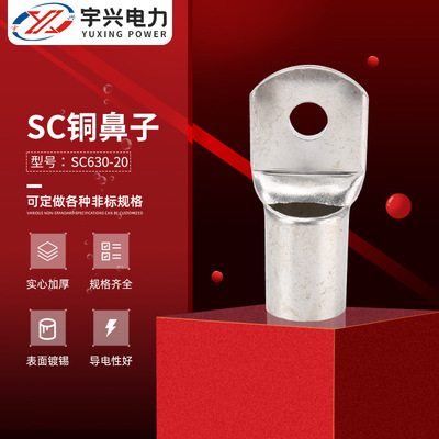 铜鼻子SC铜鼻子 铜接线端SC630-20窥口铜鼻子 冷压端子管型线耳