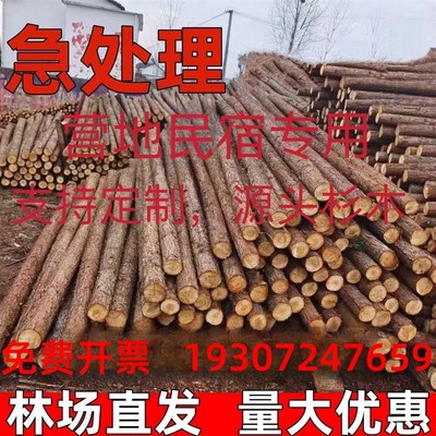 【包邮】打木桩河道工程驳岸可削尖木桩园林P绿化树木支撑杆户外