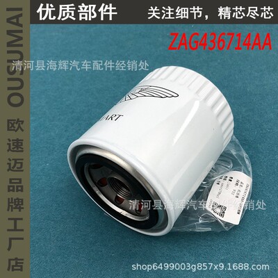 适用于阿斯顿马丁机油格 DB9 DBS Rapide 6.0 V12机油滤芯 滤清器