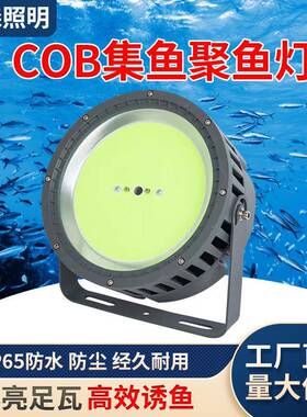 led集鱼灯钓鱼灯1000W1200W大功率渔船用捕鱼诱鱼灯探照灯强光