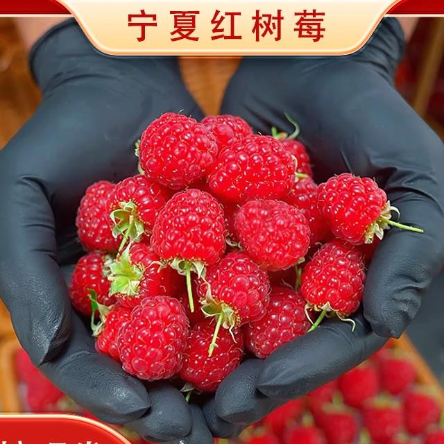【现货现发】带叶新鲜红树莓覆盆子鲜果125g/盒当季稀有新鲜水果