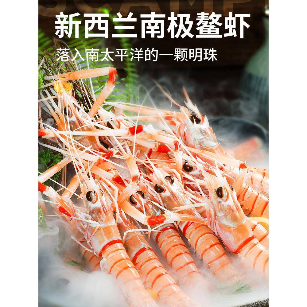 新西兰鳌虾scampi 斯干比原装进口特大深海南极虾海鳌虾甜虾
