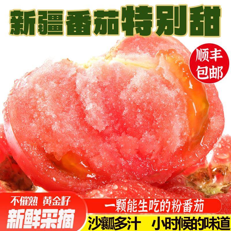 新疆沙瓤西红柿普罗旺斯5斤新鲜现摘自然熟顺丰包邮生吃水果番茄