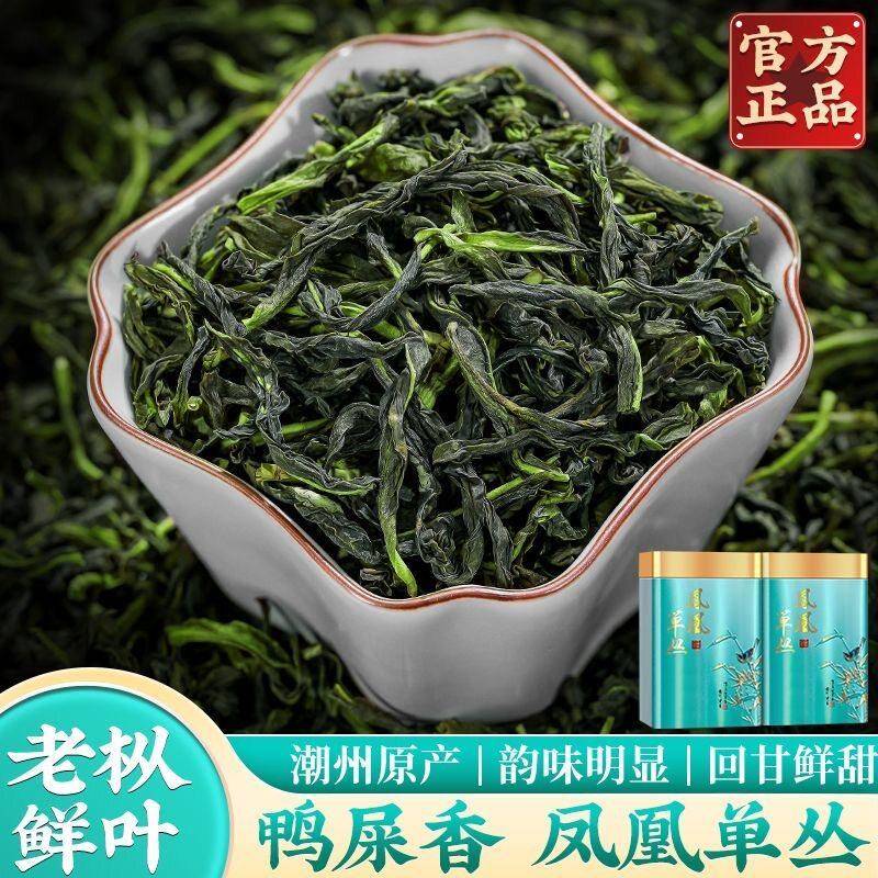 特级凤凰单丛茶高山雪片乌岽单丛高香型除湿鸭屎香潮州绿衣仙子茶