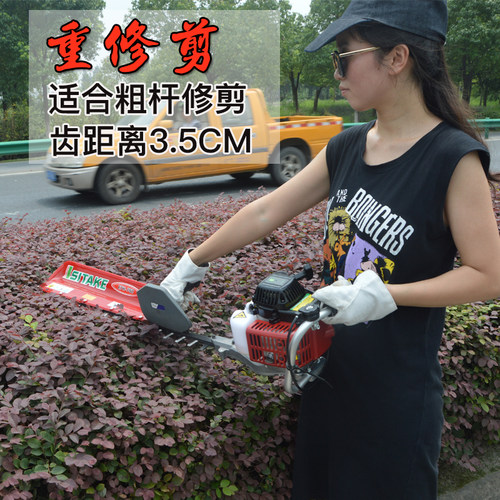 茶树茶叶绿油机剪茶机汽剪绿篱机修枝剪修篱篱笆剪果树枝剪修枝剪