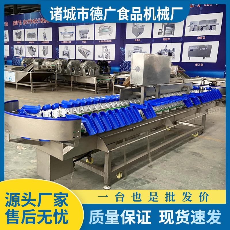 连续式全自动牛油果分拣设备西梅重量分选机猕猴桃分选设备