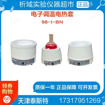 泰斯特98-I-BN 500ml电子调温电热套可调加热套380℃实验加热设备
