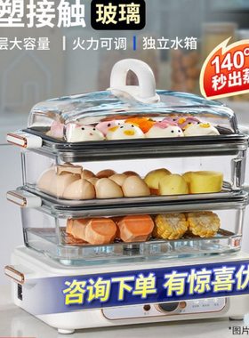 美国JESE洁氏电蒸锅家用多功能蒸煮一体蒸汽锅多层玻璃蒸汽电炖锅