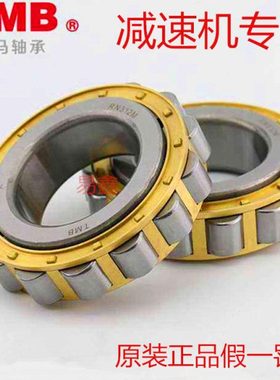 杭州天马TMB减速机轴承RN 205 206 307 308 309 312 219 222 228M