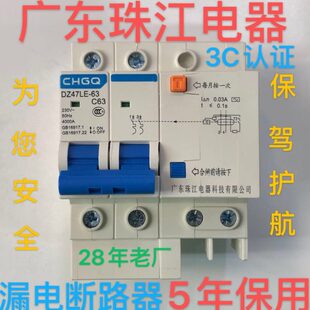 广东珠江漏电保护器双DZ47LE升级款家用总开2P63A空气开关断路器