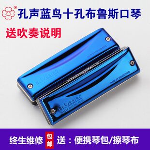 孔声乐器十孔口琴初学者布鲁斯蓝调乐器 10孔口琴蓝鸟演奏乐器
