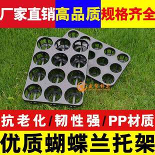 12孔15孔穴盘 托盘花卉育苗盆托架 塑料托盘育苗穴盘 蝴蝶兰托盘