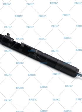 德尔福喷油器EJBR06101D适用玉柴2.5ltr发动机 F5000-1112100-011