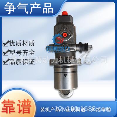 济柴B4AG160H驰动3012.12D.00B A12V190ZL单体喷油泵部件21200001