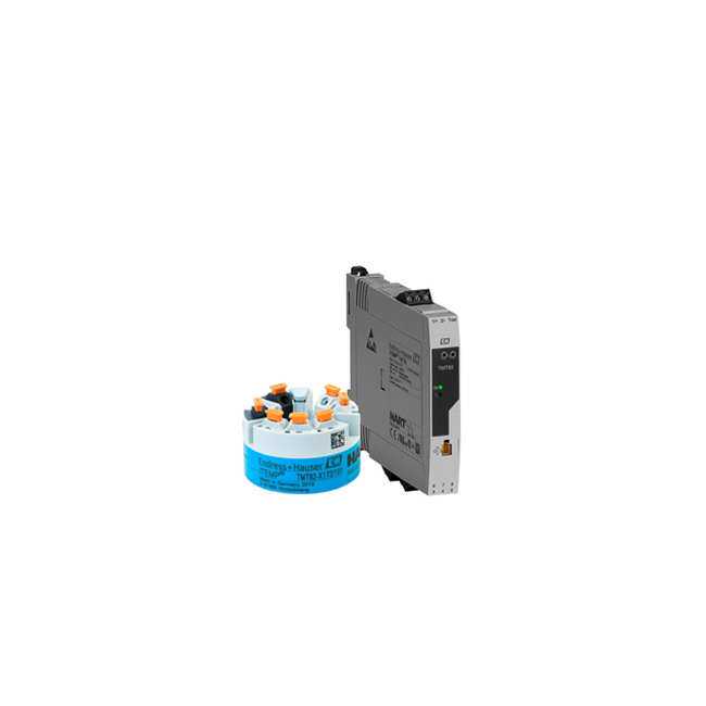 瑞士E+H恩德斯豪斯 温度变送器 型号TMT82-AAA2AA1A3AAA1