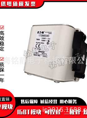 保险丝熔断器170M6500 170M6501 170M6644 170M6645 170M6646