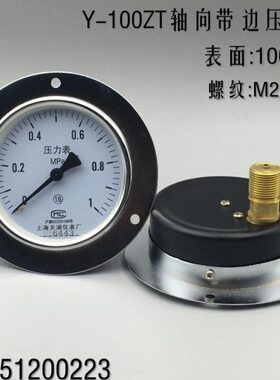 上海天湖轴向带边压力表Y-100ZT 真空表 水压 气压表 锅炉Y100ZT