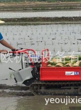 搬运机 履带运输车 筑水3B52TD田园管理搬运机 小型民用运输机