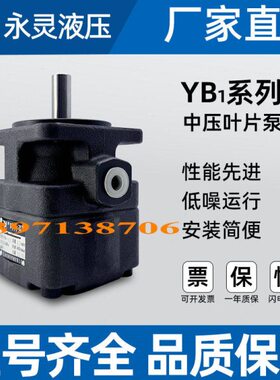 浙江YL永灵叶片泵 YB1-40 YB1-50 YB1-63 YB1-80 YB1-100 YB1-125