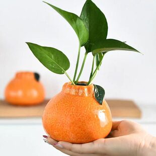 情绪稳定橘子花瓶陶瓷水培植物器皿客厅办公摆件创意风插花小花瓶