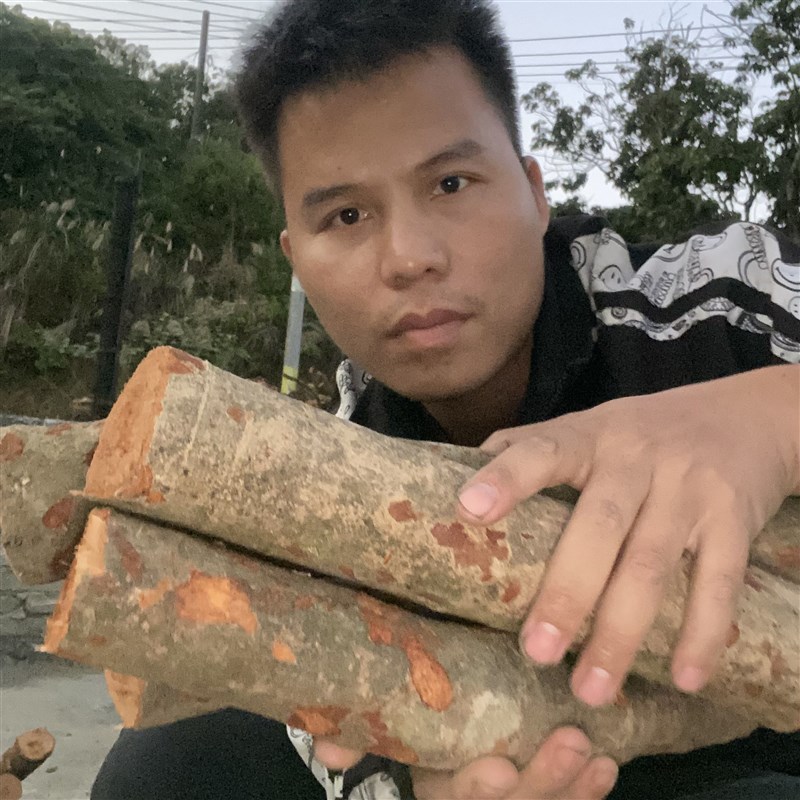 荔枝火柴柴火烧火户外干柴取暖露营木柴郊外篝火野炊壁炉木头小块