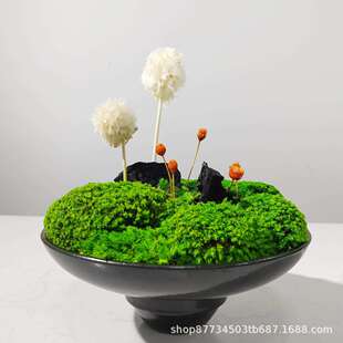 新中式禅意永生苔藓盆景摆件样板间售楼处酒店茶室桌面绿植装饰品