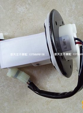 金鹏BJ500GS-A/TRK502/502X燃油泵组件 汽油泵油管组件