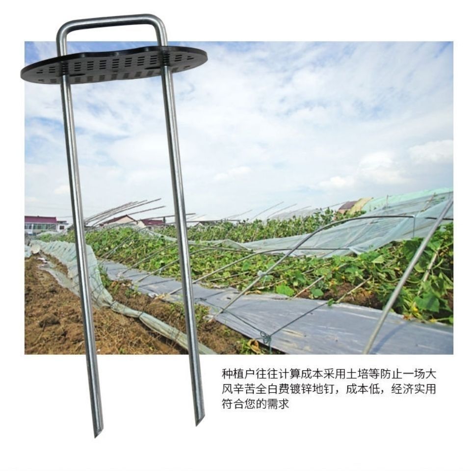 防草布地钉U型镀锌铁草坪农业固定器土工布滴灌管三维网垫片热卖