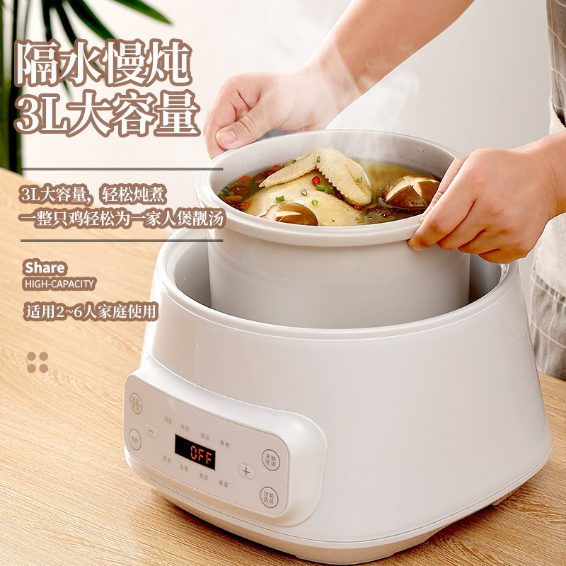 110V陶瓷隔水炖电炖锅家用多功能可分胆炖盅全自动炖汤炖燕窝