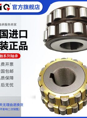 进口EIQ减速机偏心轴承UZ 205 206 307 309 312 313 217 222 G1P6