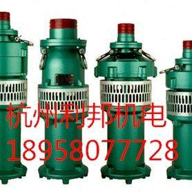 充油式潜水泵 油浸泵 喷泉泵 农用灌溉泵 QY160-4-3KW 口径5寸