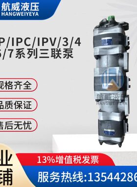 IPV/N/V6/5/3-125/100/80/64-64/50/40/32-10/8/6.3/5/3.5油泵