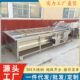 现货商用包心菜清洗机 气泡冲浪金秋葵清洗机 全自动喷淋洗菜机