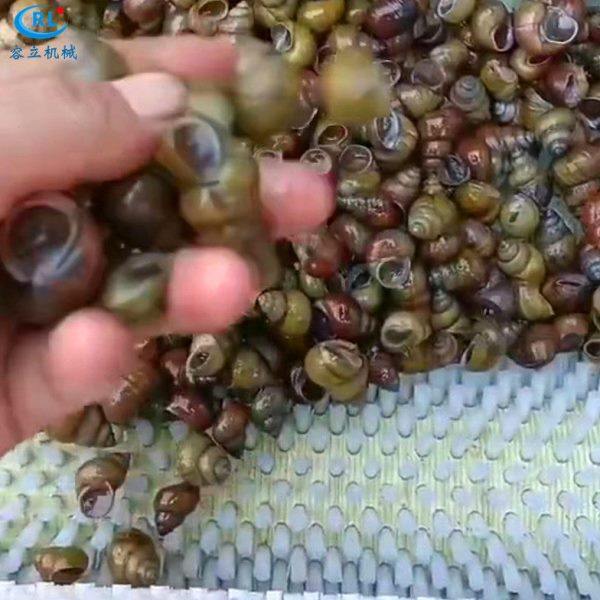 厂家供应牡蛎清洗机 辊刷式扇贝毛蛤去泥机 全自动田螺钉螺清洗机,清洗/食品/商业设备,果蔬加工设备,淘宝优惠券,粉丝福利购,淘宝优惠卷