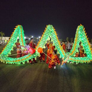 舞龙舞狮灯光绸缎布龙 夜光龙 舞台道具 舞龙龙灯元道具9节10人组