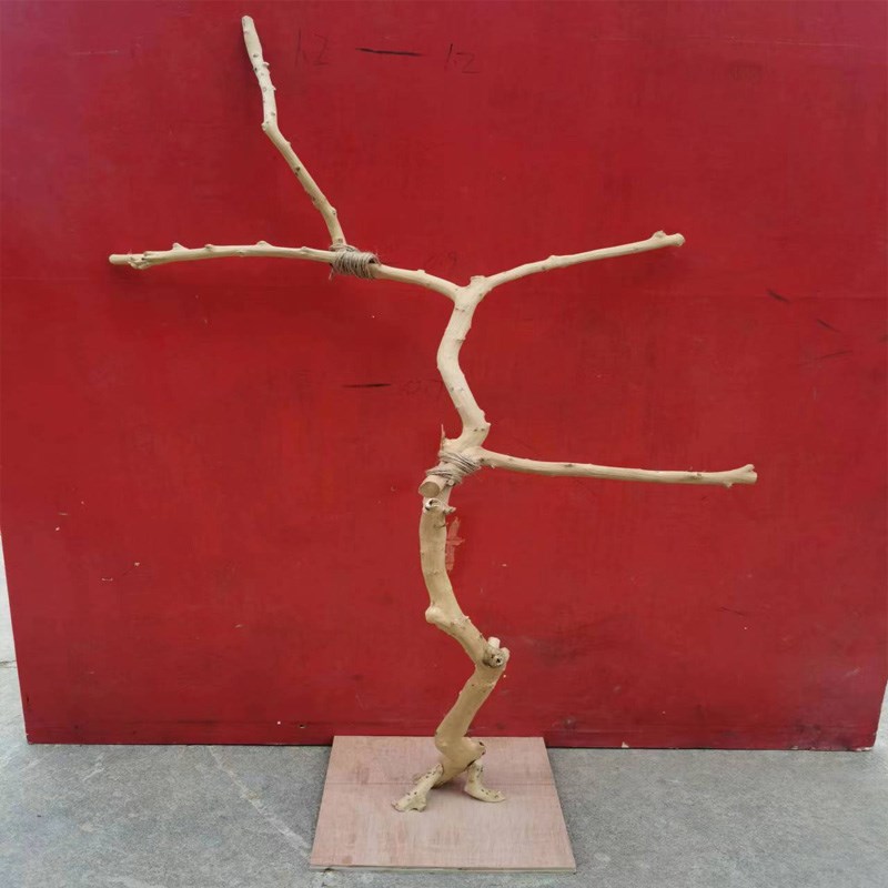 干树枝原木树杈鸟架造型实木落地灯架干枯枝艺术龙骨吊顶衣架装饰