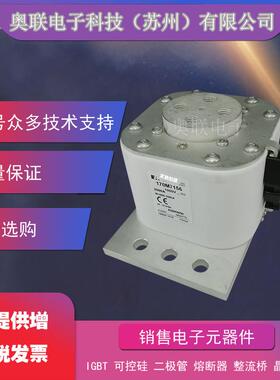 170M6008 /6009/6010/6011/6012/6013/6014巴斯曼电容保险丝