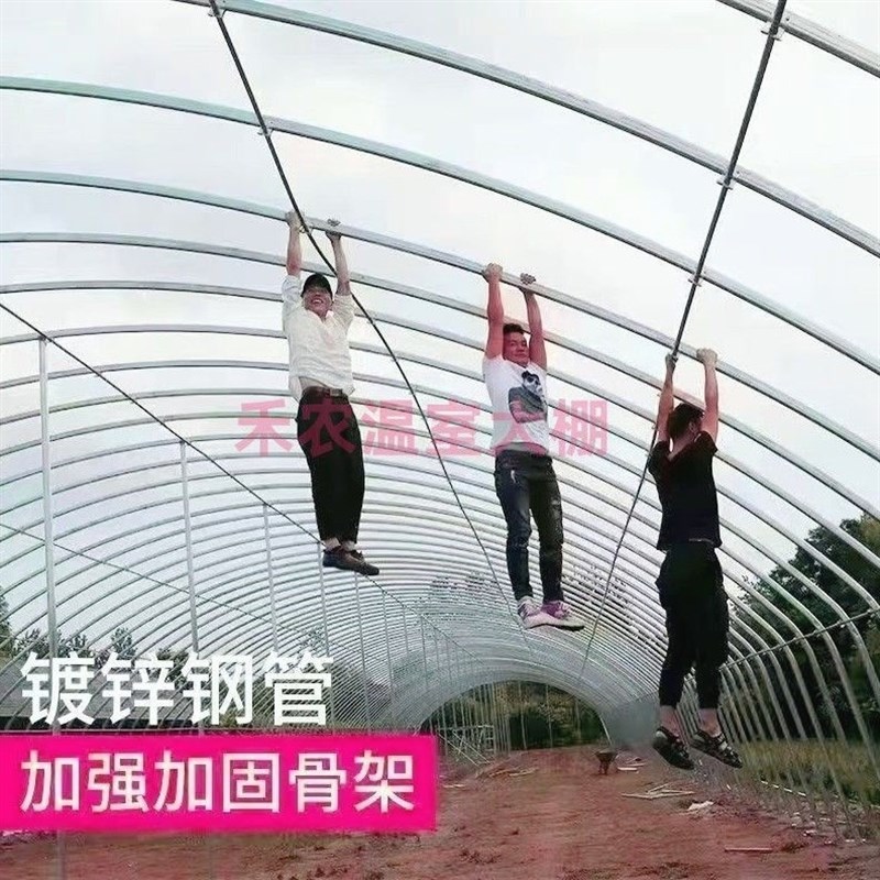 养殖种植大棚骨架全o套椭圆管养鸡鸭鹅棚牛羊猪棚蔬菜种植育苗大