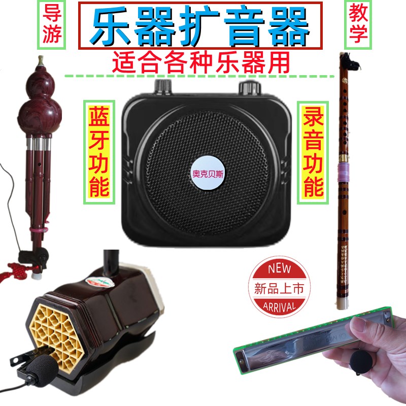 葫芦丝口琴二胡笛子n中阮板胡长笛乐器户外教学叫卖导游便携扩音