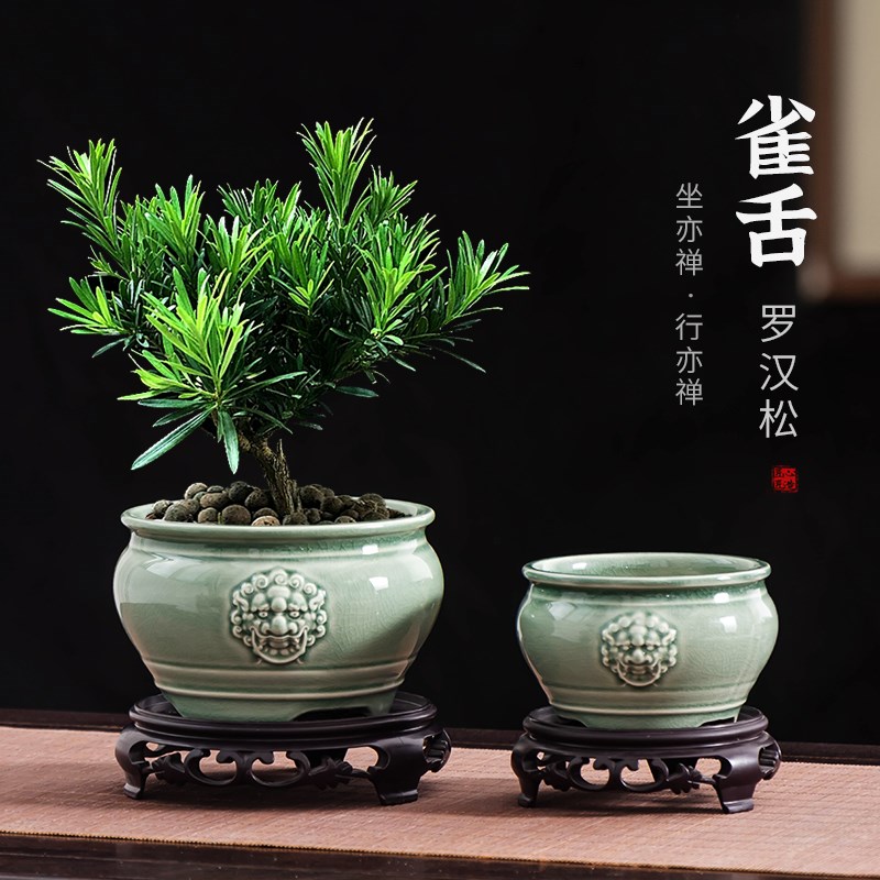 雀舌罗汉松花盆中式复古狮头绿植C陶瓷冰裂家用桌面摆件带托盘盆