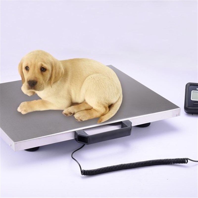52x42cm 多量程多分度组合计重计数电子平台秤宠物健康秤