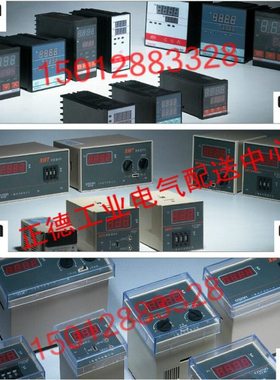 CNZSN温度控制器 ZSNA-3000 智能温度调节仪  温度控制仪