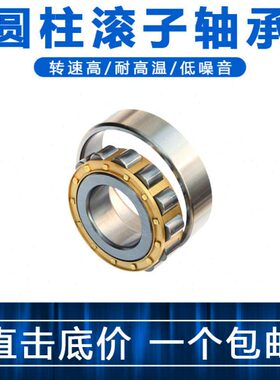 二类圆柱滚子轴承102307 102308 102309 102310 42118 42116