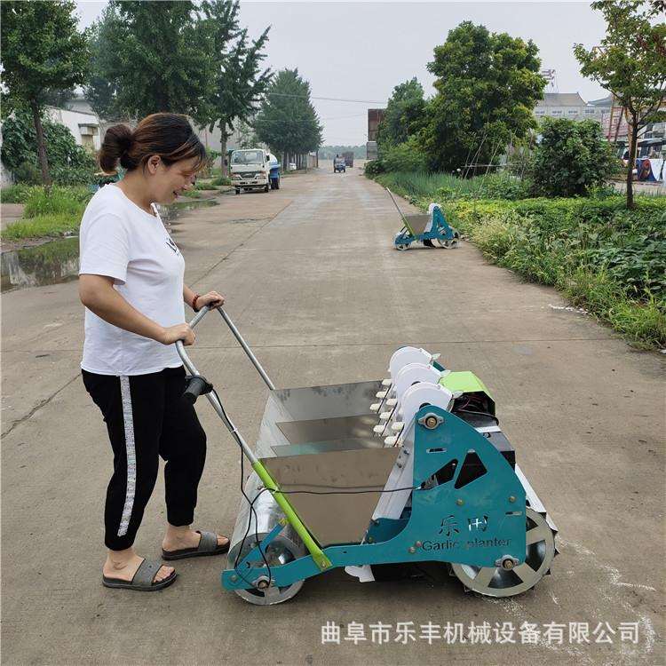 四轮车带大蒜播种机 小型种蒜播蒜机 大蒜自动播种机型号