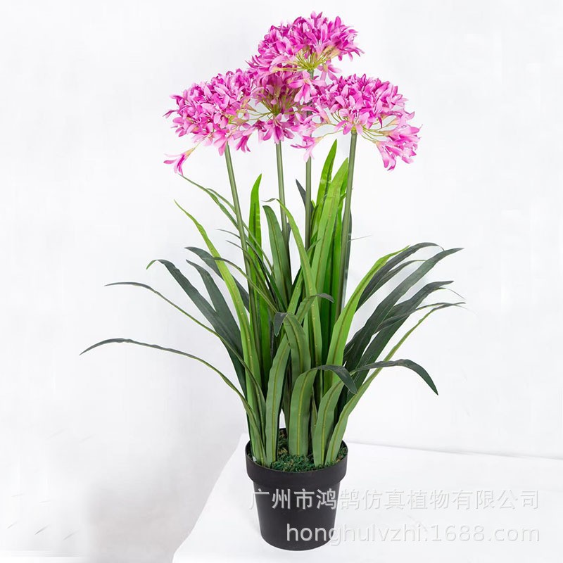 仿真洋水仙水仙花花卉小盆栽造景超大水仙仿真花家居装饰摆件