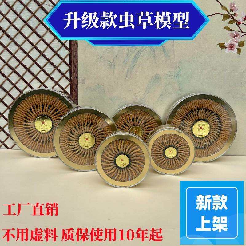 新款大号虫草模型亚克力盒装饰虫草样品塑料虫草摆样展柜