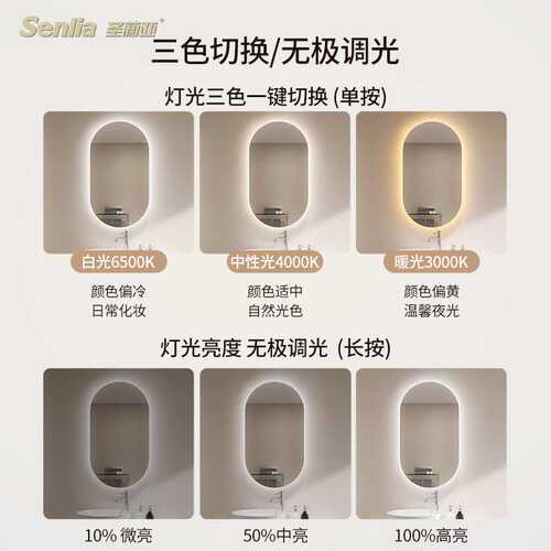 浴室智能镜椭圆跑道触摸防雾卫生间壁挂家用led灯发光镜子