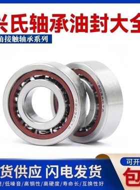 兴氏双联丝杠配对轴承760312 760313 760314 DB DF DT TN1P4